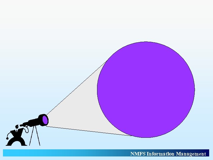 NMFS Information Management 