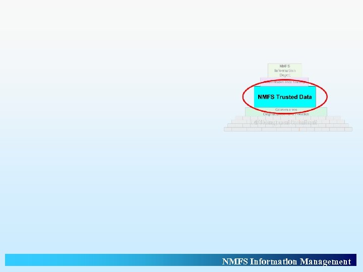 NMFS Information Management 