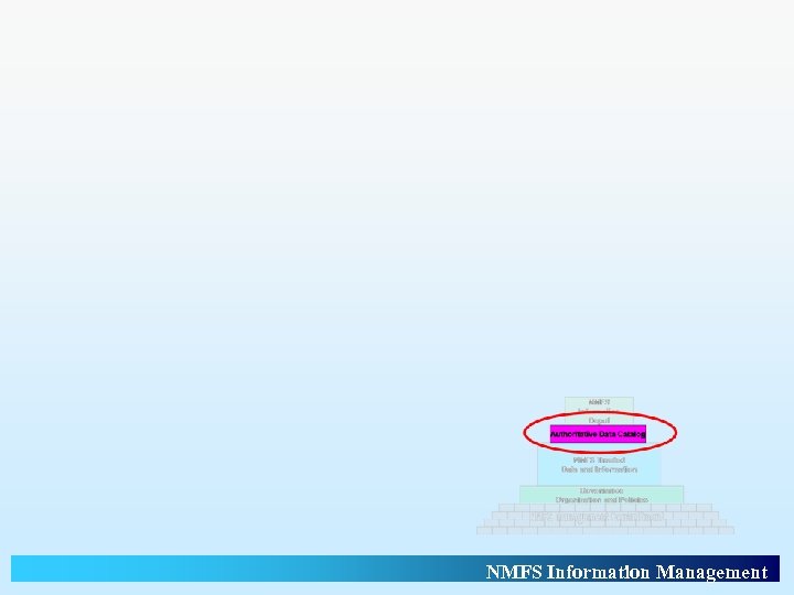 NMFS Information Management 