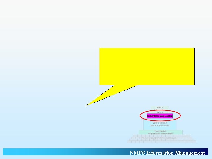 NMFS Information Management 