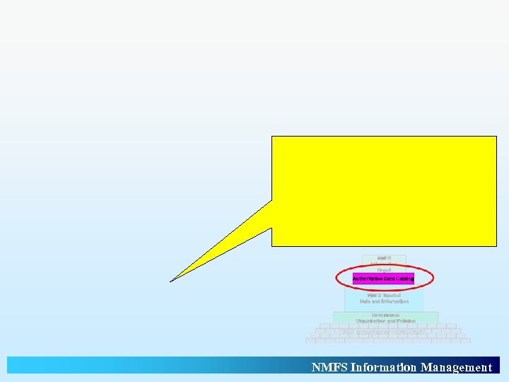 NMFS Information Management 