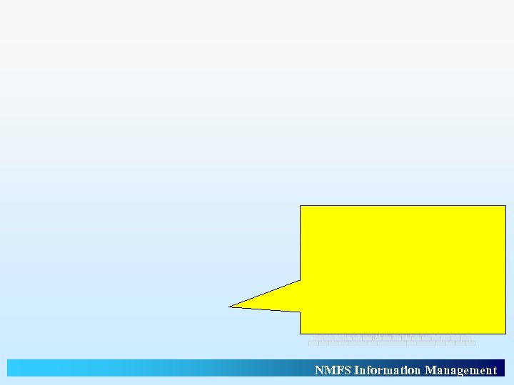 NMFS Information Management 