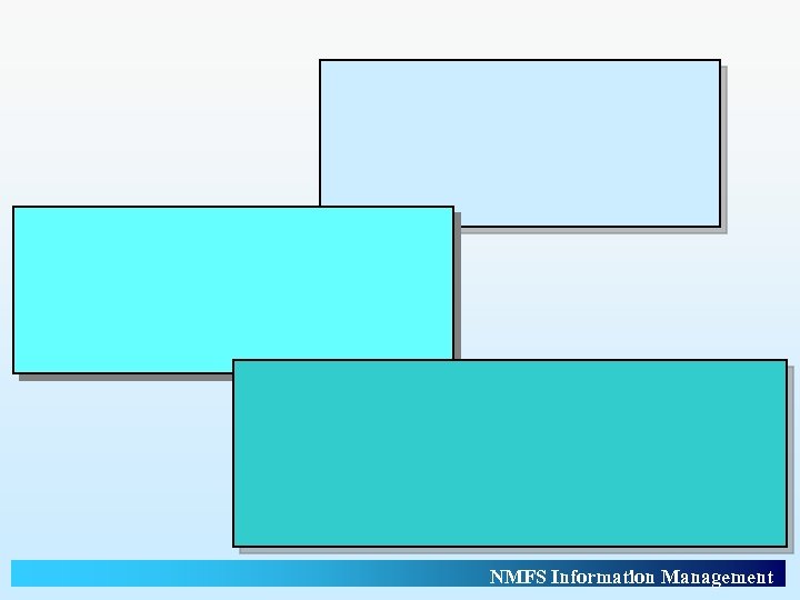 NMFS Information Management 