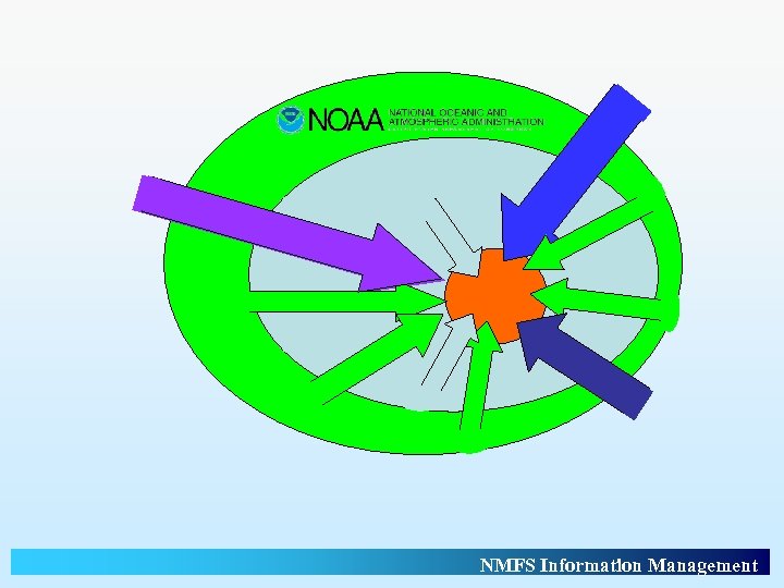 NMFS Information Management 