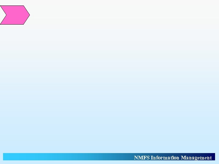 NMFS Information Management 