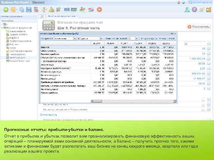 Прогнозные отчеты: прибыли-убытки и баланс. Отчет о прибылях и убытках позволит вам проанализировать финансовую