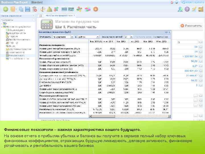 Финансовые показатели – важная характеристика вашего будущего. На основе отчета о прибылях-убытках и баланса