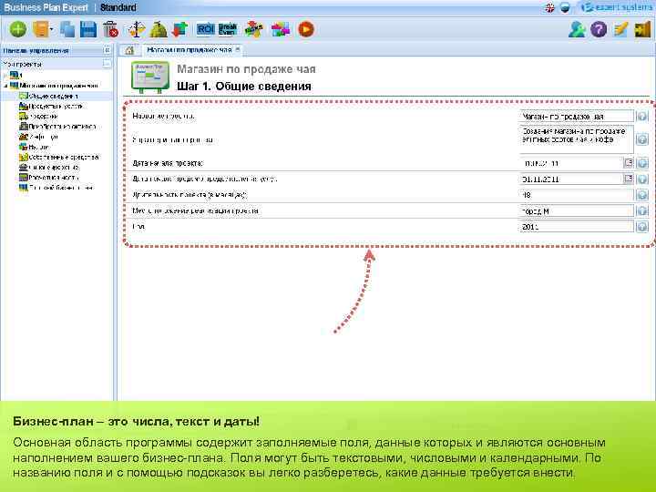 Бизнес-план – это числа, текст и даты! Основная область программы содержит заполняемые поля, данные