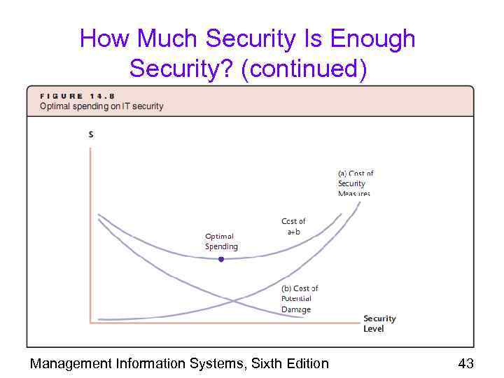 How Much Security Is Enough Security? (continued) Management Information Systems, Sixth Edition 43 