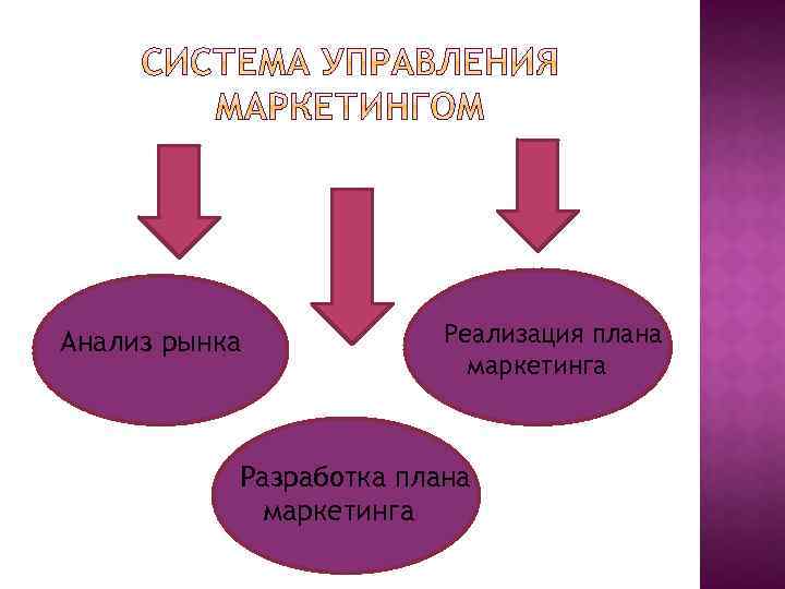 Анализ рынка Реализация плана маркетинга Разработка плана маркетинга 
