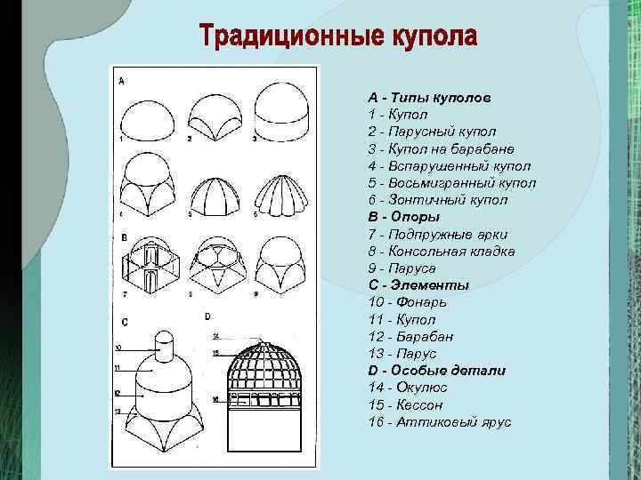 Виды куполов и некоторые их математические характеристики проект