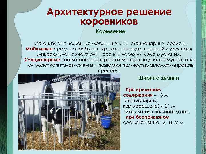 Архитектурное решение коровников Кормление Организуют с помощью мобильных или стационарных средств. Мобильные средства требуют