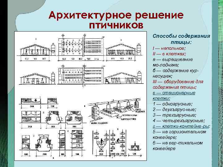 Архитектурное решение птичников Способы содержания птицы: I — напольное; II — в клетках; а
