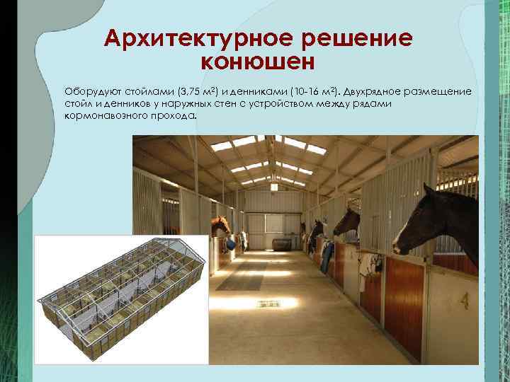 Архитектурное решение конюшен Оборудуют стойлами (3, 75 м 2) и денниками (10 16 м