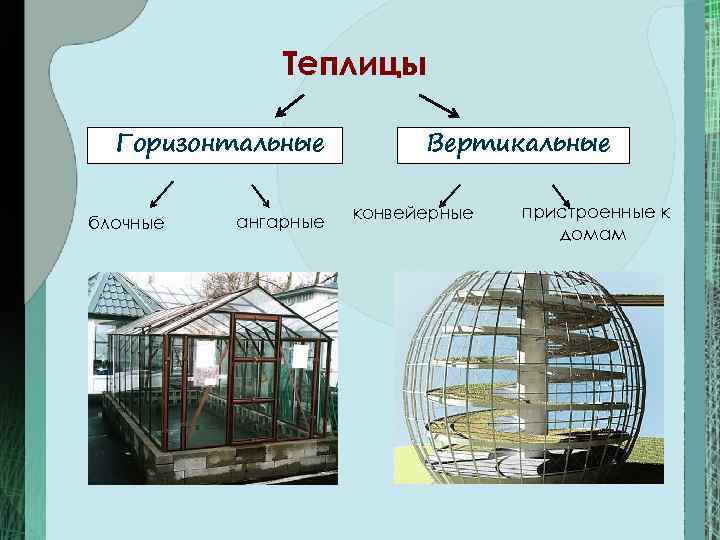 Теплицы Горизонтальные блочные ангарные Вертикальные конвейерные пристроенные к домам 