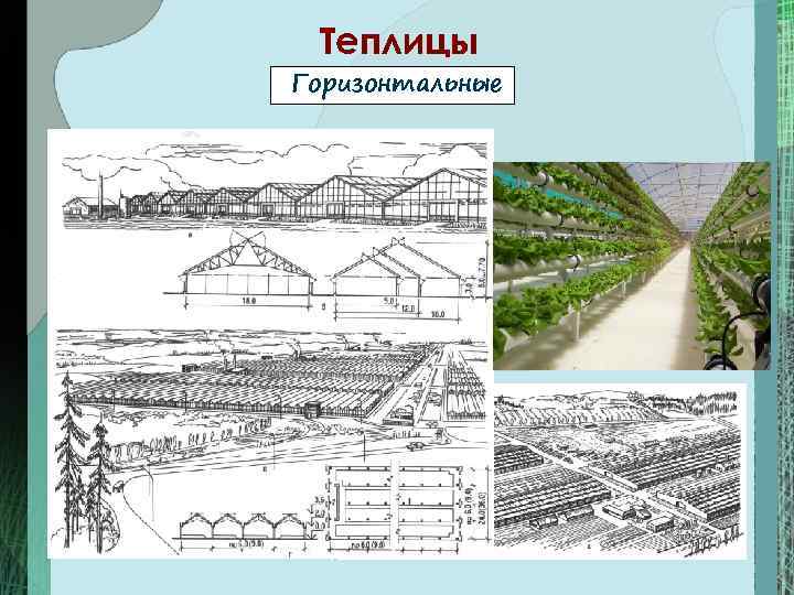 Теплицы Горизонтальные 