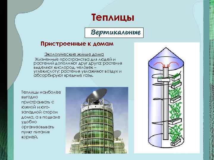 Теплицы Вертикальные Пристроенные к домам Экологические жилые дома Жизненные пространства для людей и растений