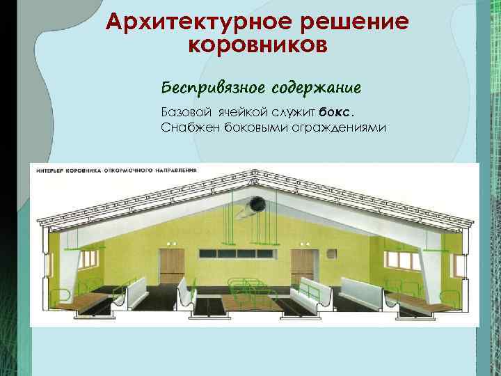 Архитектурное решение коровников Беспривязное содержание Базовой ячейкой служит бокс. Снабжен боковыми ограждениями 