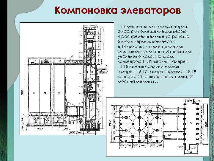 Компоновка элеваторов 1 -помещение для головок норий; 2 -лари; 3 -помещение для весов; 4