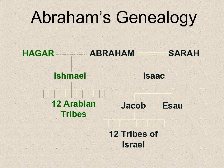 Abraham’s Genealogy HAGAR ABRAHAM Ishmael 12 Arabian Tribes SARAH Isaac Jacob 12 Tribes of