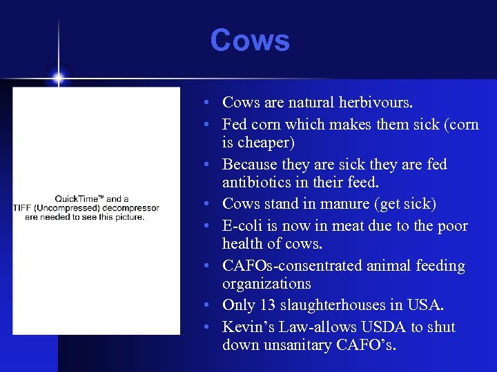 Cows • Cows are natural herbivours. • Fed corn which makes them sick (corn