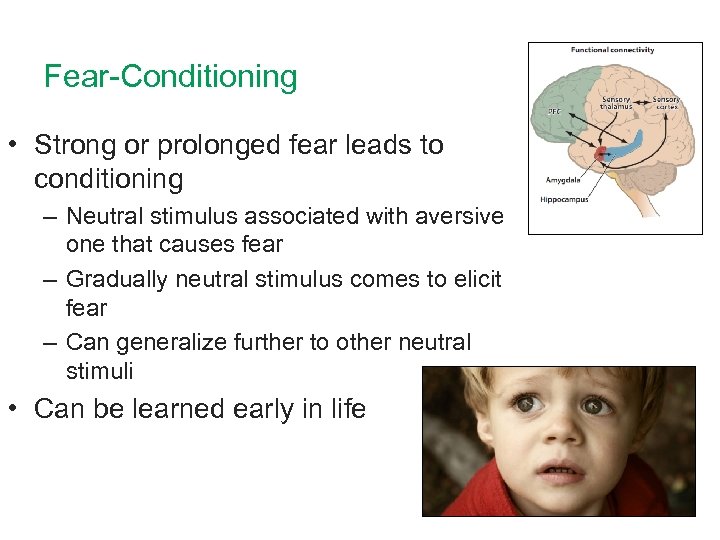 Fear-Conditioning • Strong or prolonged fear leads to conditioning – Neutral stimulus associated with