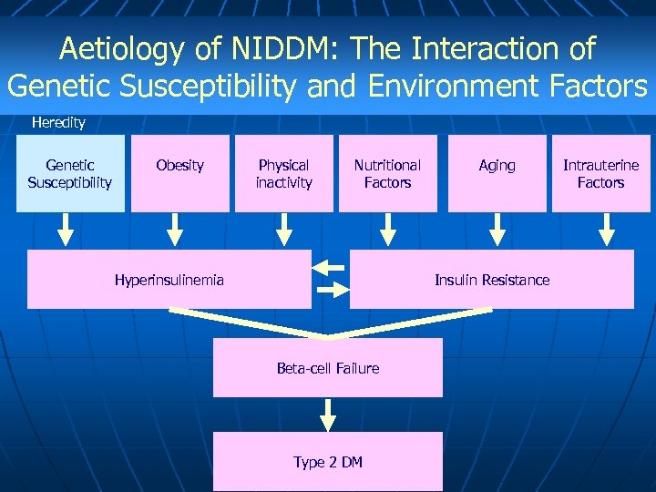 Aetiology of NIDDM: The Interaction of Genetic Susceptibility and Environment Factors Heredity Genetic Susceptibility