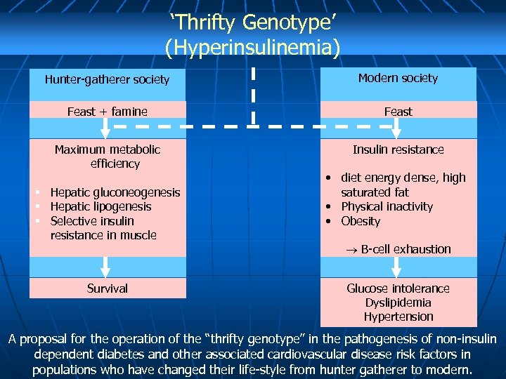 ‘Thrifty Genotype’ (Hyperinsulinemia) Hunter-gatherer society Modern society Feast + famine Feast Maximum metabolic efficiency