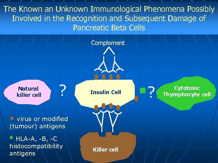 The Known an Unknown Immunological Phenomena Possibly Involved in the Recognition and Subsequent Damage
