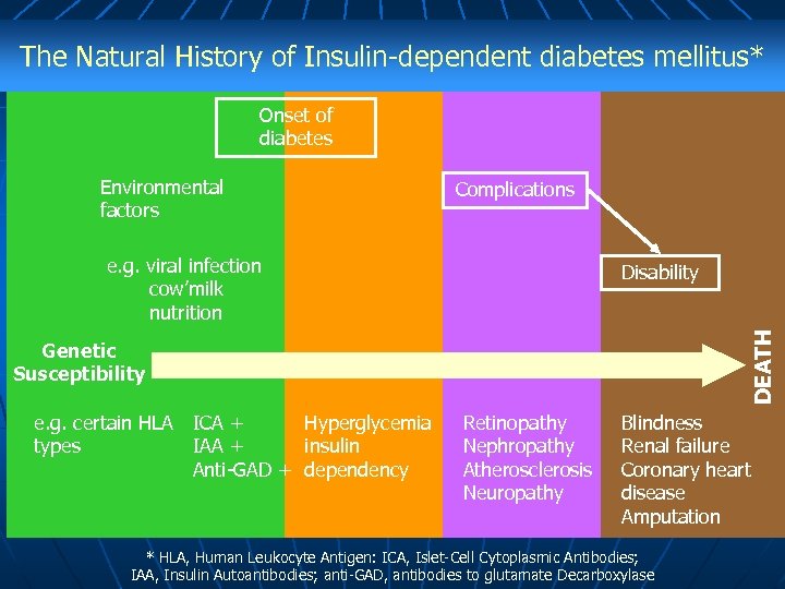 The Natural History of Insulin-dependent diabetes mellitus* Onset of diabetes Environmental factors Complications e.