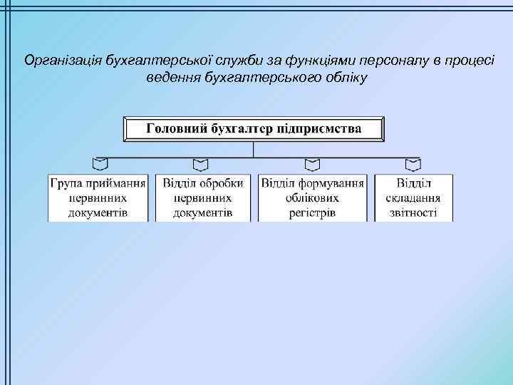 Організація бухгалтерської служби за функціями персоналу в процесі ведення бухгалтерського обліку 