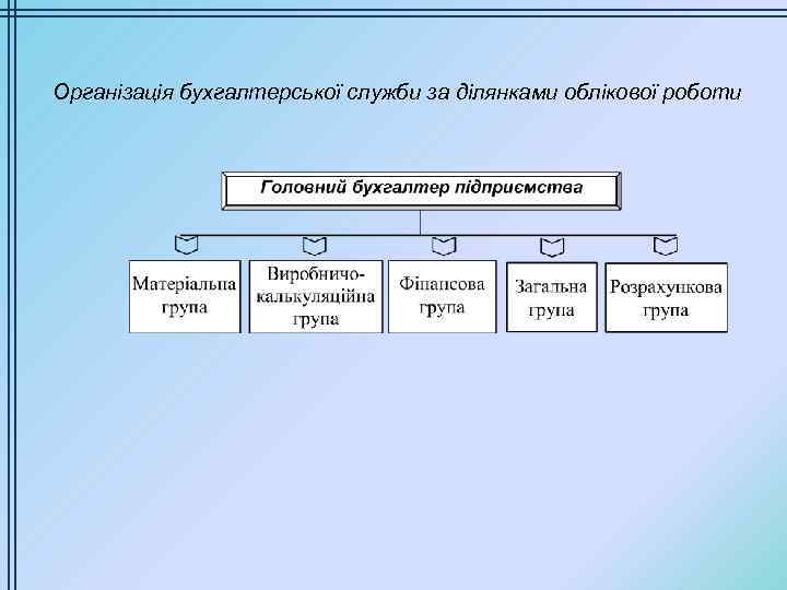 Організація бухгалтерської служби за ділянками облікової роботи 