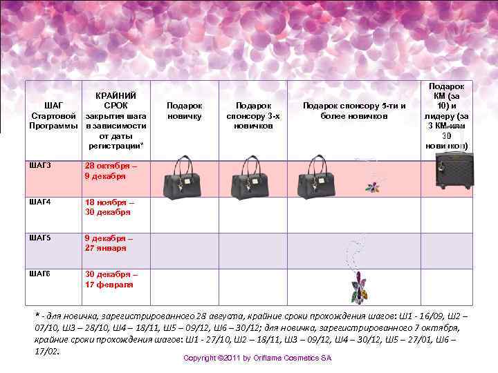 КРАЙНИЙ СРОК ШАГ Стартовой закрытия шага Программы в зависимости от даты регистрации* Подарок новичку