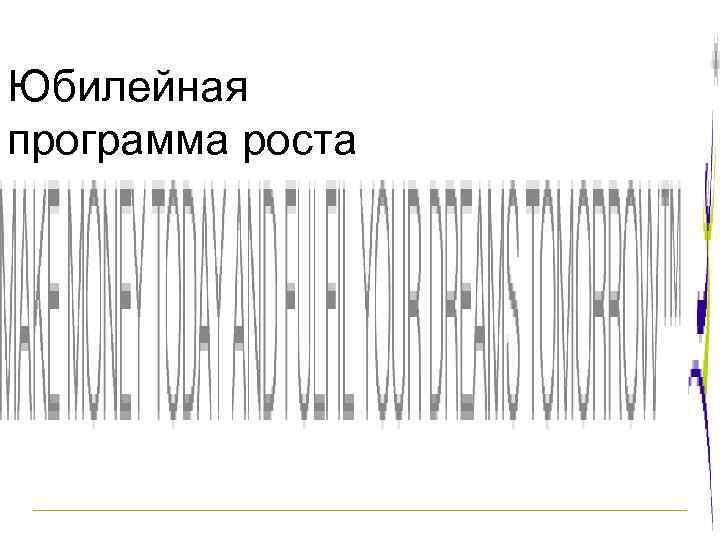 Юбилейная программа роста 