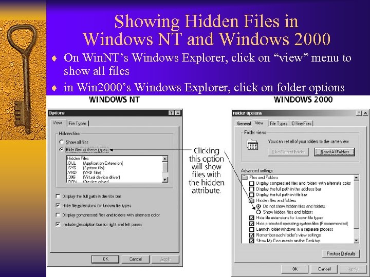 Showing Hidden Files in Windows NT and Windows 2000 ¨ On Win. NT’s Windows