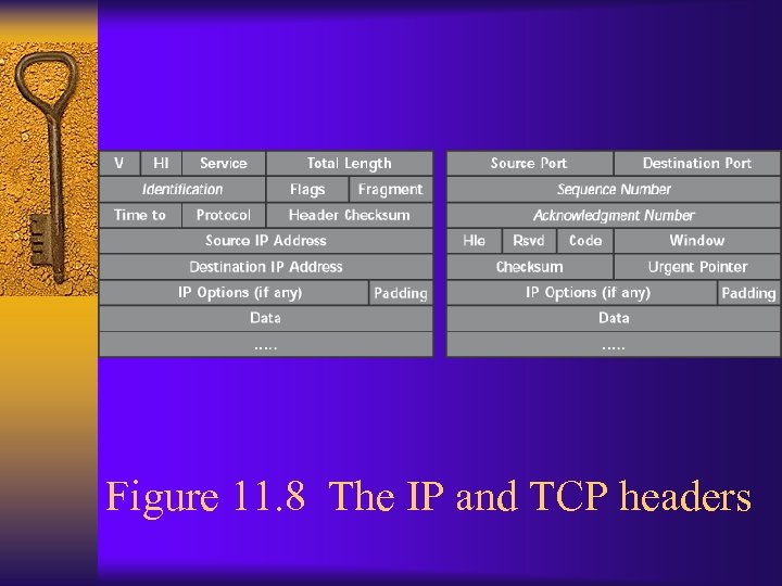 Figure 11. 8 The IP and TCP headers 