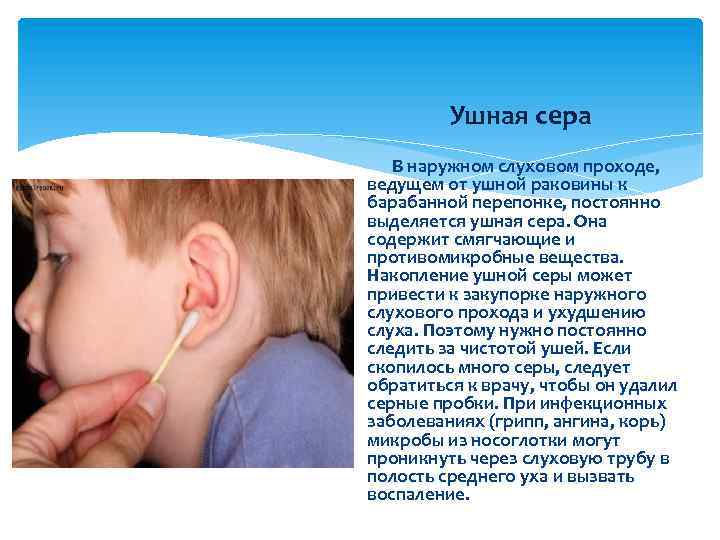 Ушная сера В наружном слуховом проходе, ведущем от ушной раковины к барабанной перепонке, постоянно