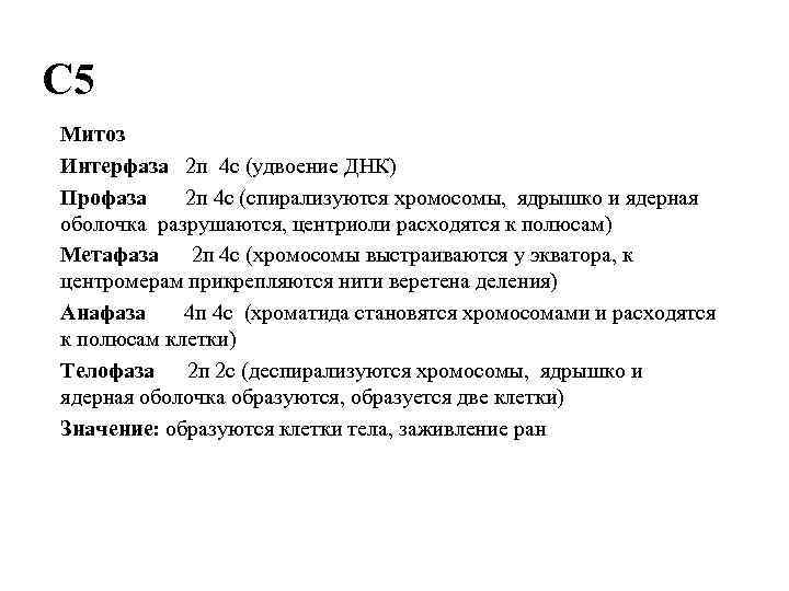 В интерфазе митоза происходит. Интерфаза митоза. Процессы происходящие в интерфазе митоза. Митоз интерфаза кратко. Интерфаза ЕГЭ.