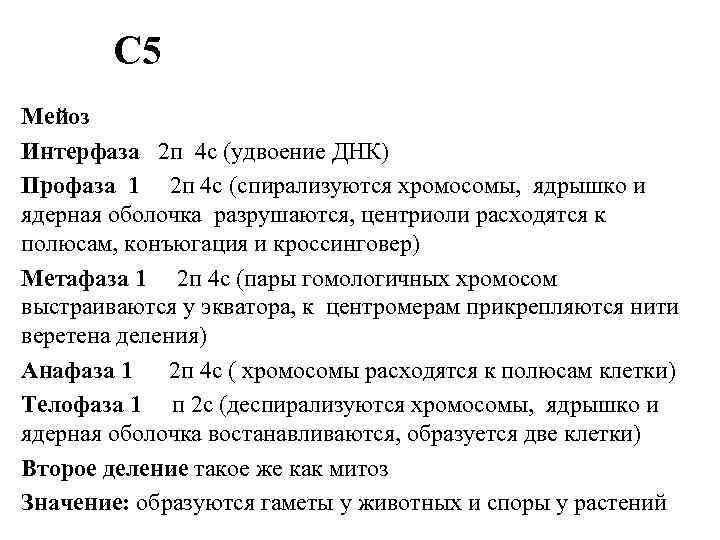 С 5 Мейоз Интерфаза 2 п 4 с (удвоение ДНК) Профаза 1 2 п