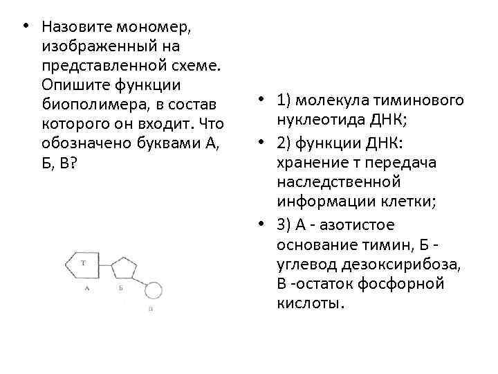  • Назовите мономер, изображенный на представленной схеме. Опишите функции биополимера, в состав которого