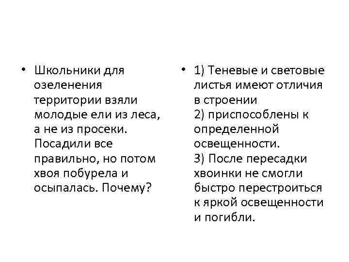  • Школьники для озеленения территории взяли молодые ели из леса, а не из