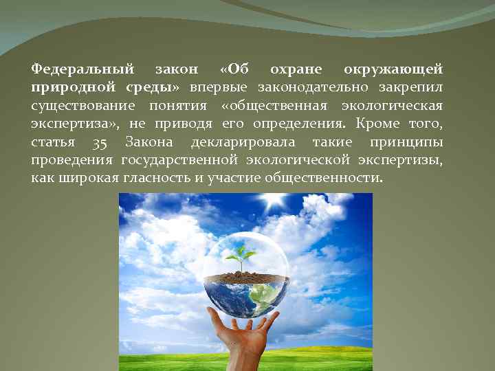 Федеральный закон «Об охране окружающей природной среды» впервые законодательно закрепил существование понятия «общественная экологическая