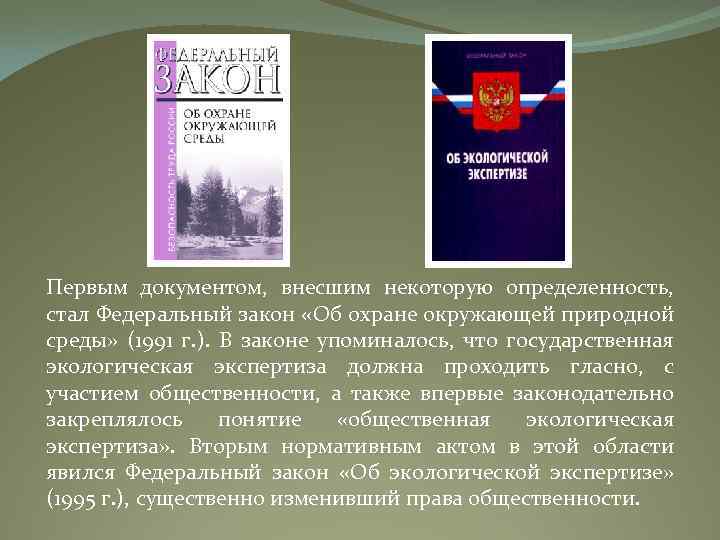 Первым документом, внесшим некоторую определенность, стал Федеральный закон «Об охране окружающей природной среды» (1991