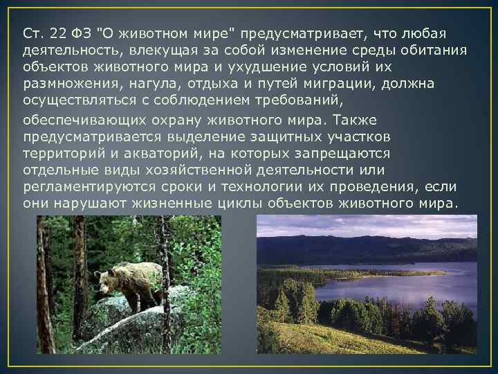 Объект животный. Объекты животного мира. Оценка воздействия на животный мир. Виды объектов животного мира. Общие сведения о животном мире среда обитания.