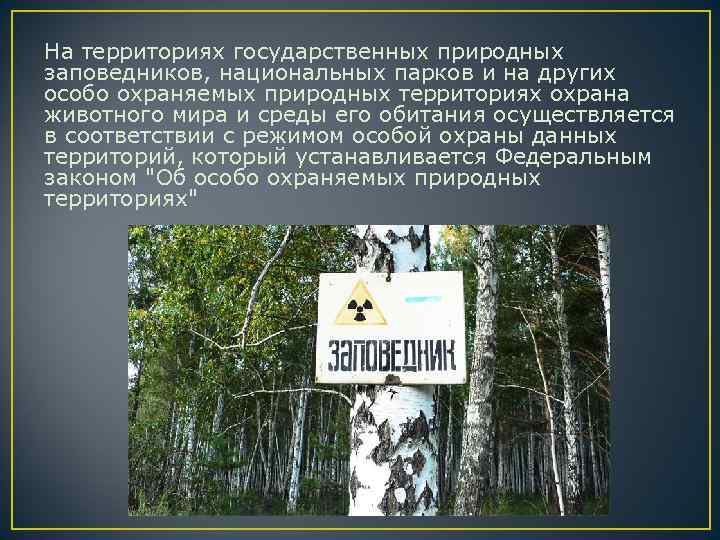 На территориях государственных природных заповедников, национальных парков и на других особо охраняемых природных территориях