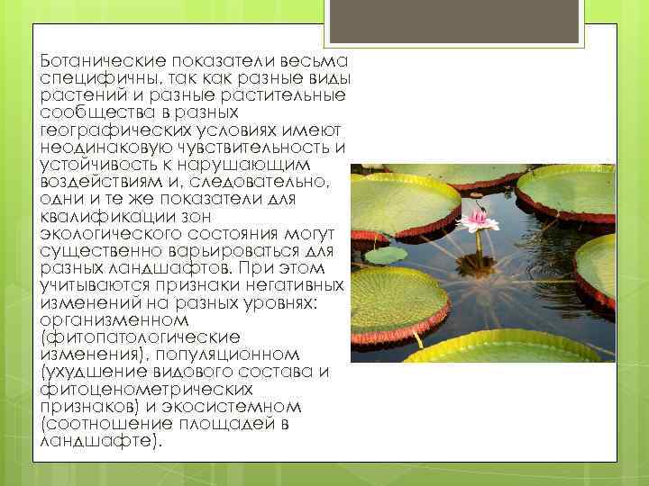 Ботанические показатели весьма специфичны, так как разные виды растений и разные растительные сообщества в