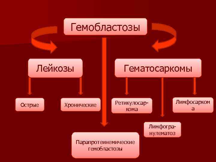 Гемобластозы Гематосаркомы Лейкозы Острые Хронические Ретикулосаркома Лимфосарком а Лимфогранулематоз Парапротеинемические гемобластозы 