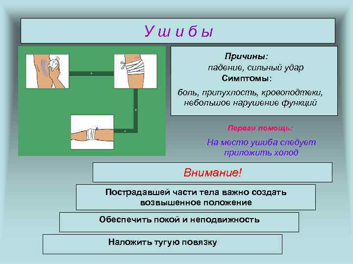 Ушибы Причины: падение, сильный удар Симптомы: боль, припухлость, кровоподтеки, небольшое нарушение функций Первая помощь: