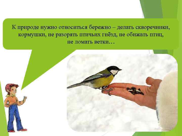 К природе нужно относиться бережно – делать скворечники, кормушки, не разорять птичьих гнёзд, не