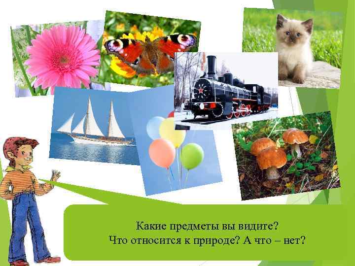 Ребята! Я часто бываю на природе и делаю Какие предметы вы видите? различные снимки.